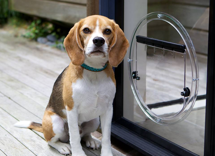Pet Door main header