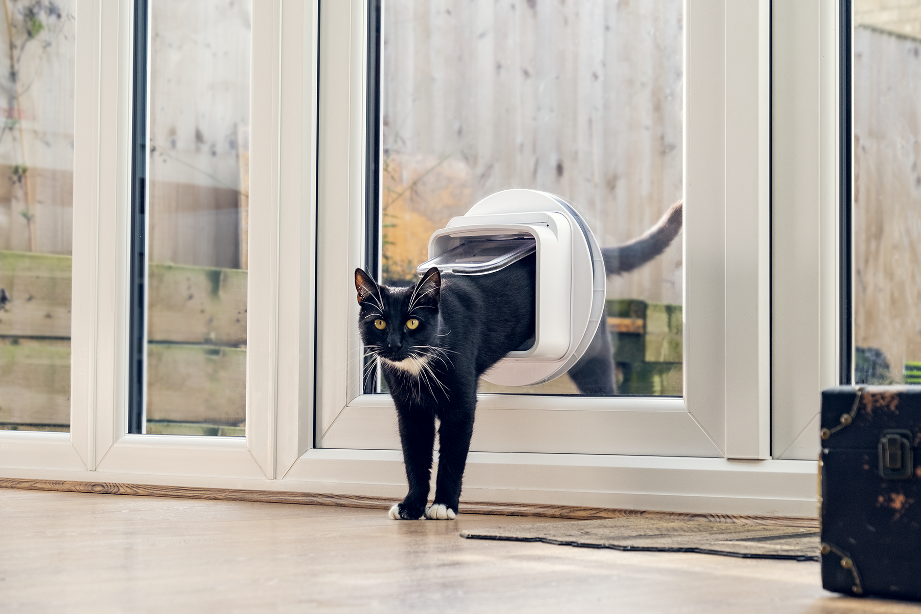 Cat Door Installation for Glass Doors and Windows - O’Brien Australia