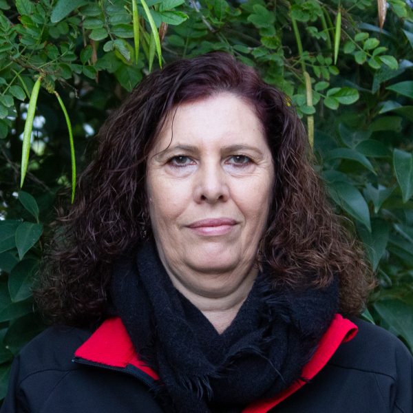 Kerrie Gerlach