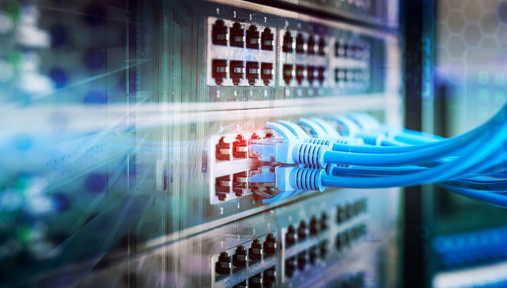 Network Panel And Data Cable