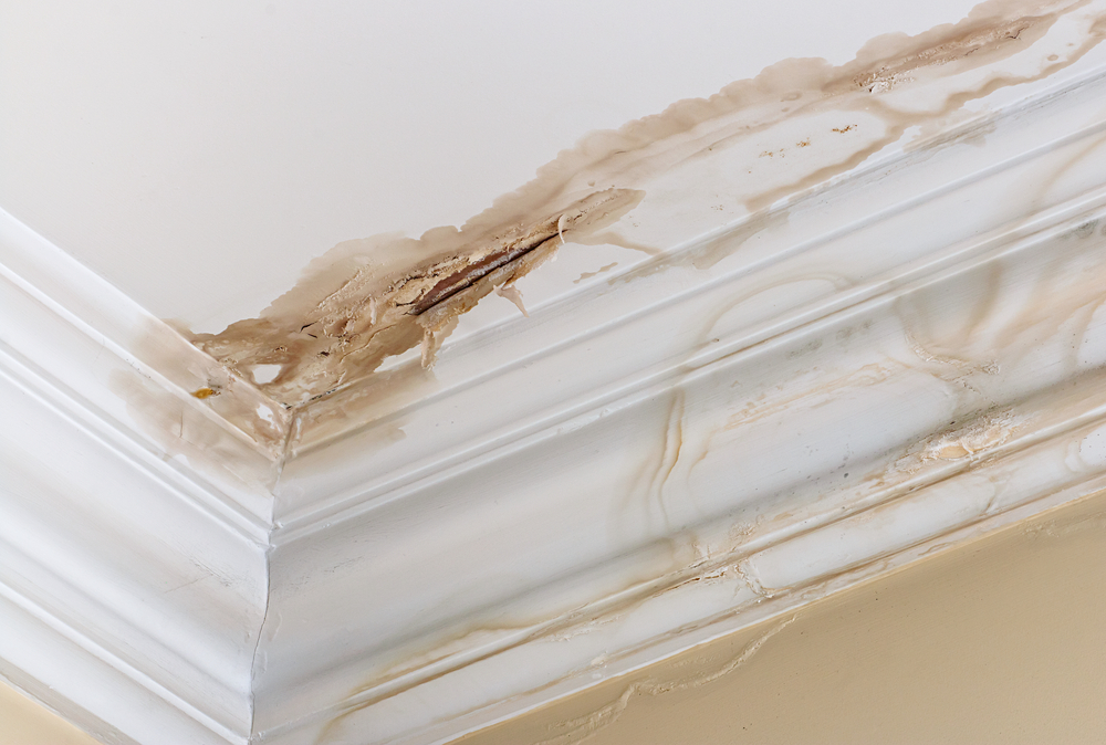 roof-damage-water-leak