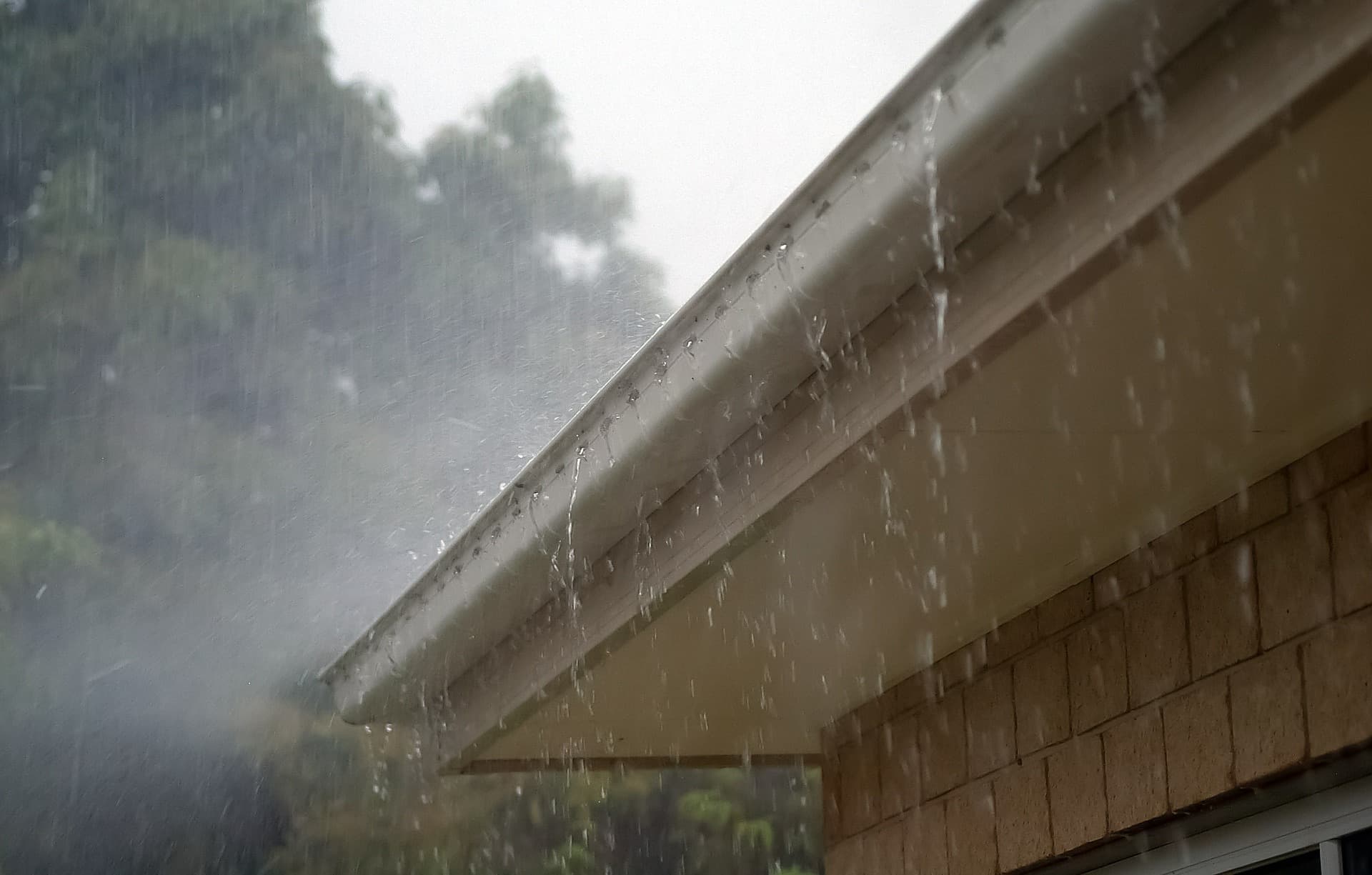 Overflowing Gutters - Gutter replacement Port Macquarie