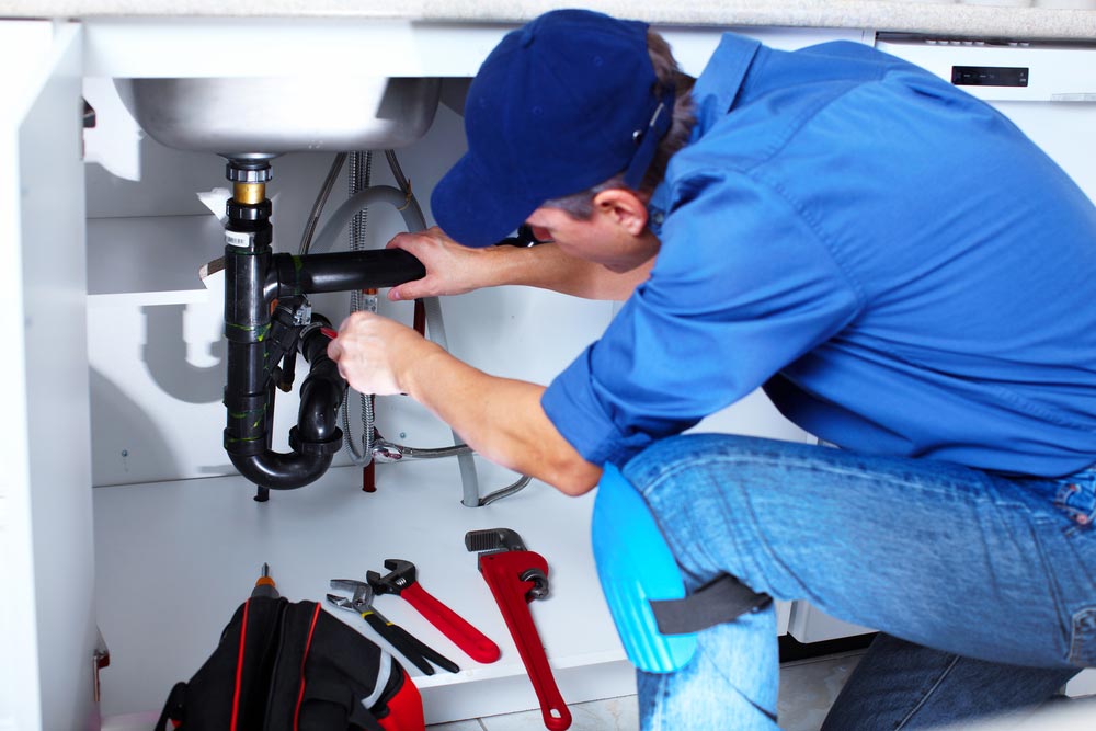 Professional Plumber Repairing Kitchen Sink