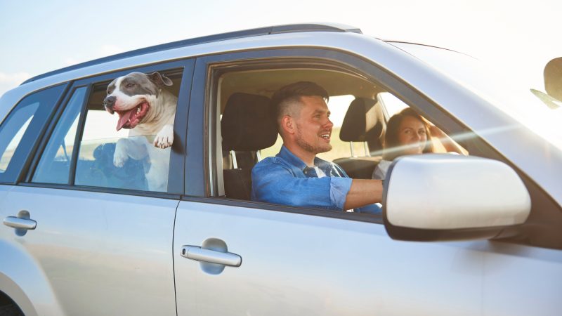 Preparing Your Car for A Summer Road Trip
