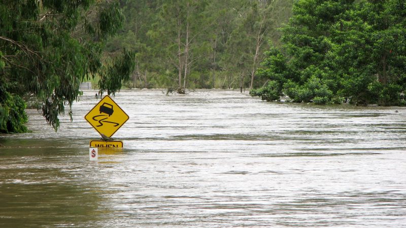 O'Brien Lismore Team In Focus: Resilience During The Floods