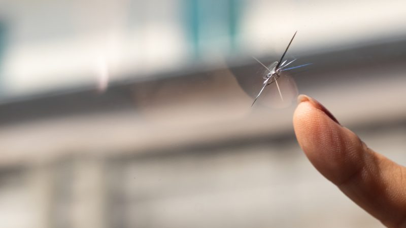 I Just Got A Chip In My Windscreen - What Do I Do?