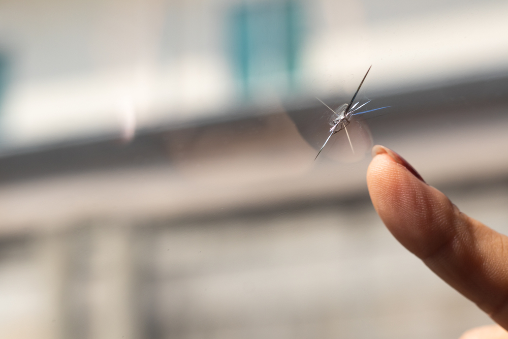 I Just Got A Chip In My Windscreen – What Do I Do?