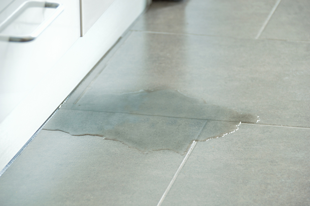 A Water Leak