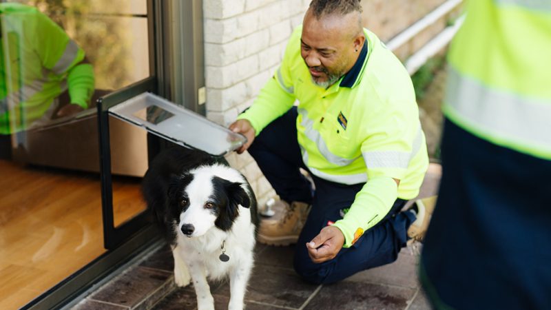 How Our Glaziers Install Pet Doors In Glass