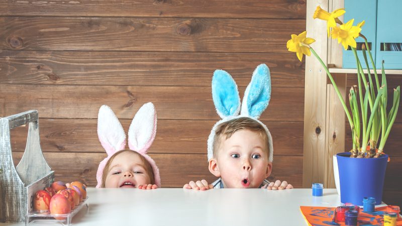 5 Essential Electrical and Plumbing Tips for Homeowners this Easter long weekend