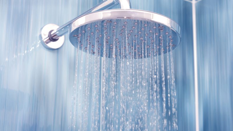 Blocked Shower Drains: Quick Fixes and When to Call a Plumber in Perth