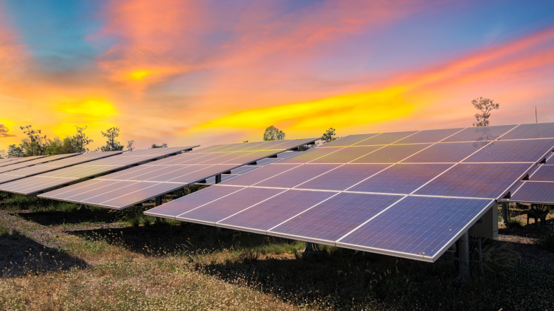 2025 Solar Rebates in Taree: O'Brien's Guide to Government Incentives