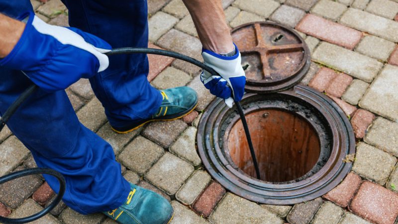 10 Common Causes Of Blocked Drains & How To Prevent Them