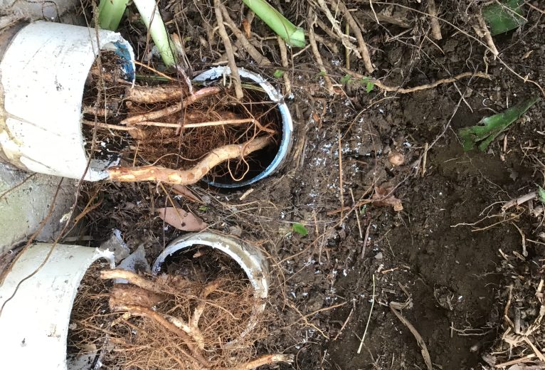 Emergency Water Tank Repair Before Incoming Rain | Coffs Harbour Case Study